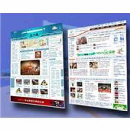 网站设计与开发 构建卓越数字体验的双重支柱