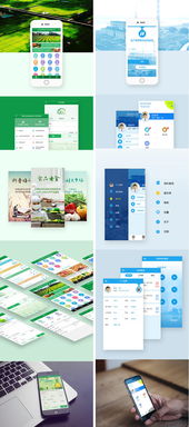 UI设计与软件开发生态 从App、小程序到网站的全链路解析