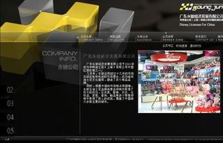 广州网站建设与设计 永骏经济发展与英铭网络的品牌构建案例